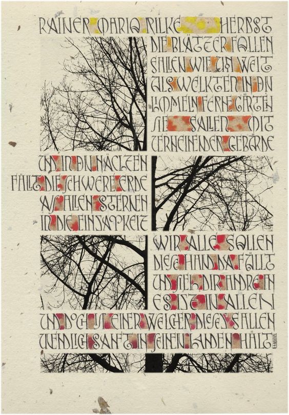 biographe familiale lyon rhone alpes